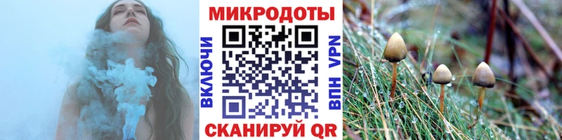 Псилоцибиновые грибы мицелий  дарк нет официальный сайт  Нариманов  купить  сайты 